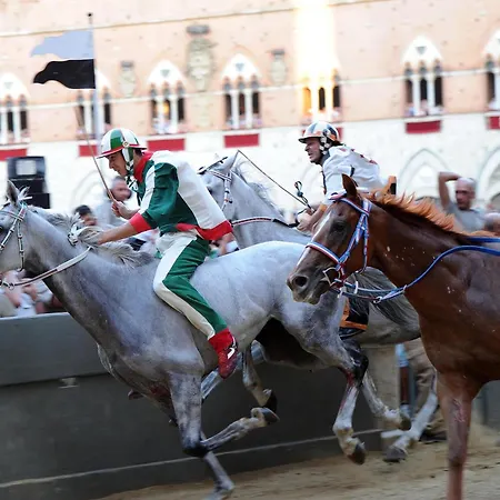 Del Campo - Apartment