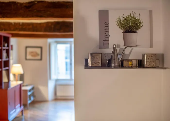 Apartamento Del Campo - *